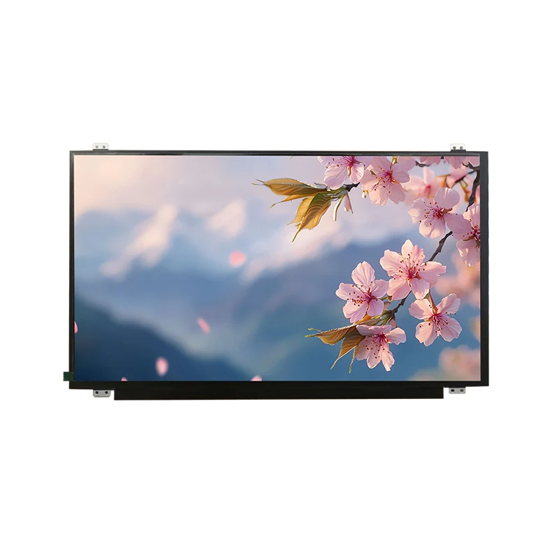15.6 'Modúl Scáileán LCD TFT LCD TEMP Leathan HD